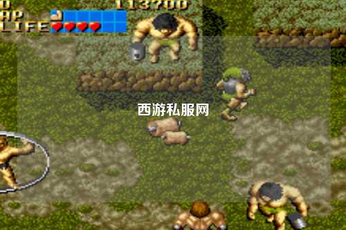 西游私服网